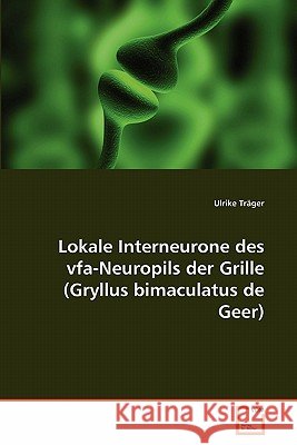 Lokale Interneurone des vfa-Neuropils der Grille (Gryllus bimaculatus de Geer) Träger, Ulrike 9783639347234 VDM Verlag - książka