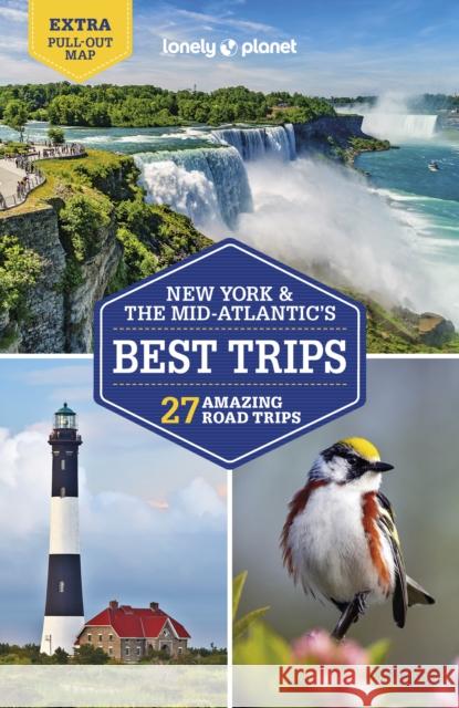 Lonely Planet New York & the Mid-Atlantic's Best Trips 4 Richmond, Simon 9781787016002 Lonely Planet - książka