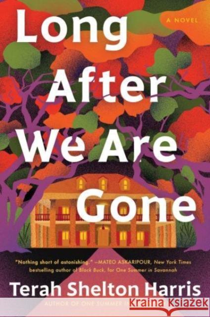 Long After We Are Gone: A Novel  9781728265773 Sourcebooks, Inc - książka