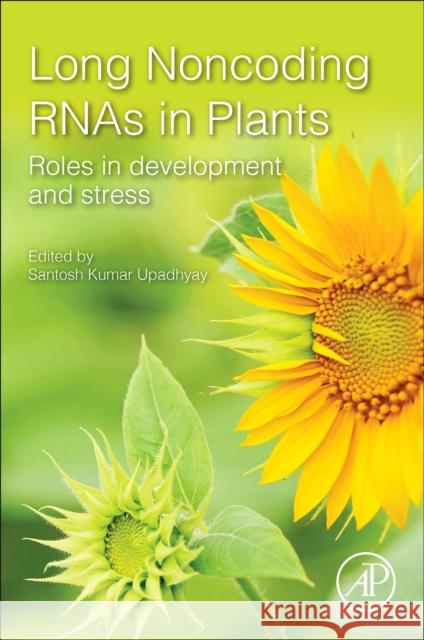 Long Non-Coding Rnas in Plants: Roles in Development and Stress Santosh Kumar Upadhyay 9780128214527 Academic Press - książka