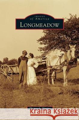 Longmeadow Thomas L. Higgins 9781540235176 Arcadia Publishing Library Editions - książka