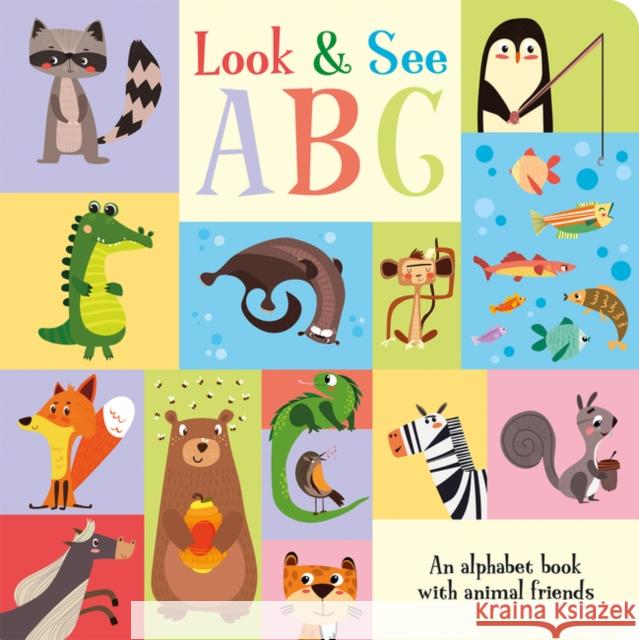 Look & See ABC Amber Lily, Zhanna Ovocheva 9781789585308 Imagine That Publishing Ltd - książka