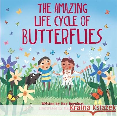 Look and Wonder: The Amazing Life Cycle of Butterflies Kay Barnham 9780750299565 Hachette Children's Group - książka