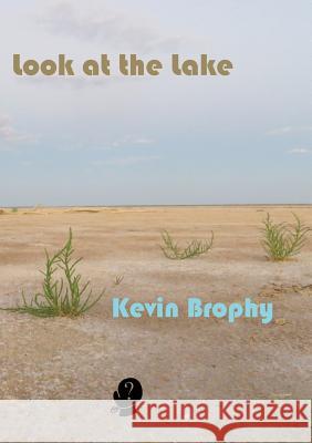 Look at the Lake Kevin Brophy 9781925780086 Puncher & Wattman - książka