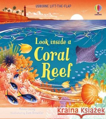 Look Inside a Coral Reef Minna Lacey Samuel Brewster 9781805318361 Usborne Books - książka