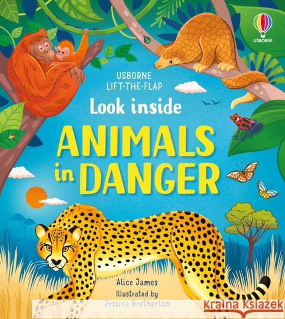 Look inside Animals in Danger ALICE JAMES 9781474999045 Usborne Publishing Ltd - książka