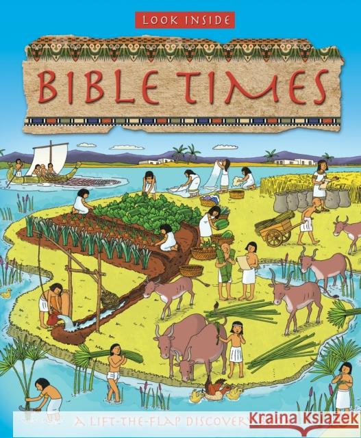 Look Inside Bible Times Lois Rock Anthony Lewis 9780745976143 Lion Hudson - książka