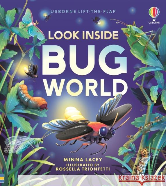 Look Inside Bug World Minna Lacey 9781805074076 Usborne Publishing Ltd - książka