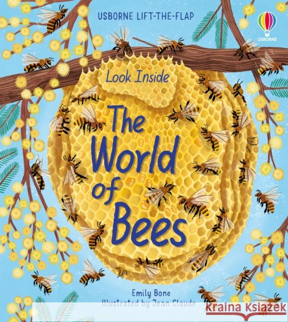 Look Inside the World of Bees EMILY BONE 9781474983198 Usborne Publishing Ltd - książka