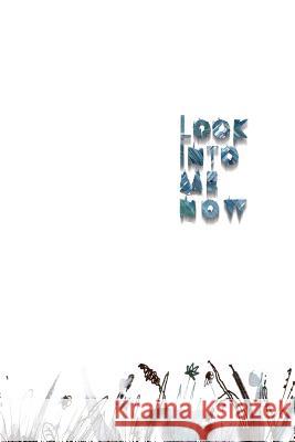 Look Into Me Now: a book of abandoned things Sapunkova, Kseniia 9781514101384 Createspace Independent Publishing Platform - książka