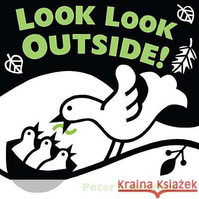 Look Look Outside! Peter Linenthal 9780803737297 Dial Books - książka