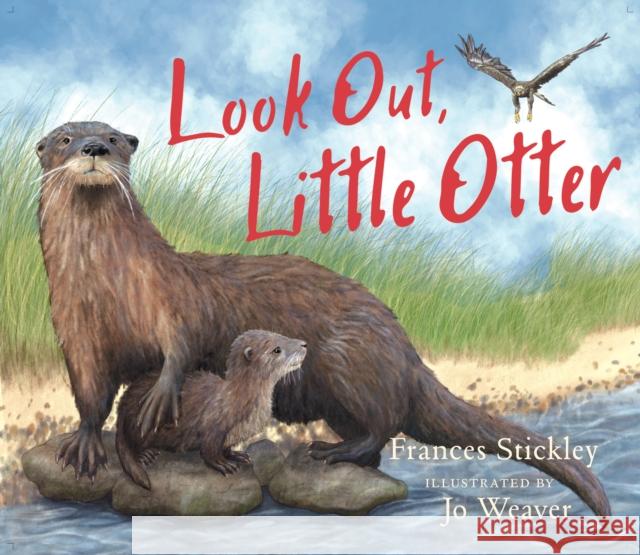Look Out, Little Otter Jo Weaver Frances Stickley 9781780279800 BC Books - książka