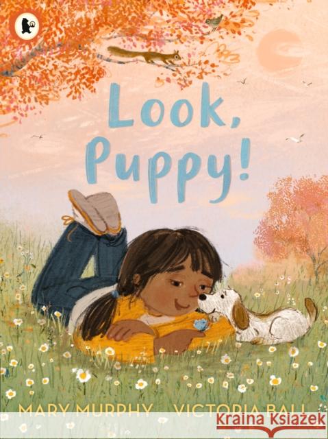 Look, Puppy! Mary Murphy 9781529501391 Walker Books Ltd - książka