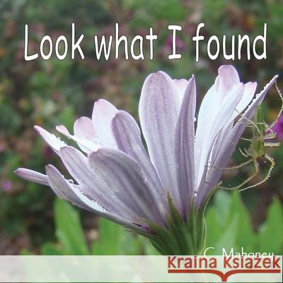 Look what I found: a gift for my niece and nephew C. Mahoney 9781491081594 Createspace Independent Publishing Platform - książka