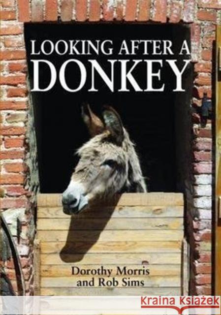 Looking After a Donkey Rob Sims 9781873580929 Whittet Books Ltd - książka