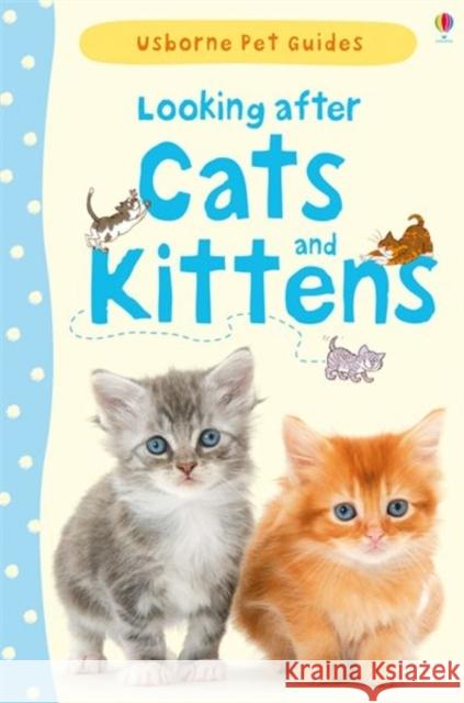Looking after Cats and Kittens   9781409532422 Usborne Publishing Ltd - książka