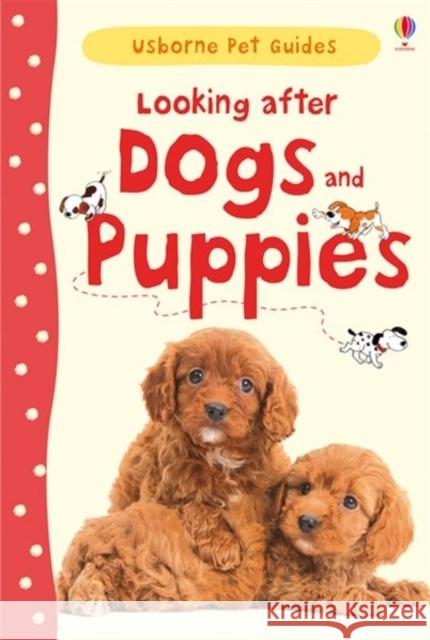 Looking after Dogs and Puppies   9781409532408 Usborne Publishing Ltd - książka