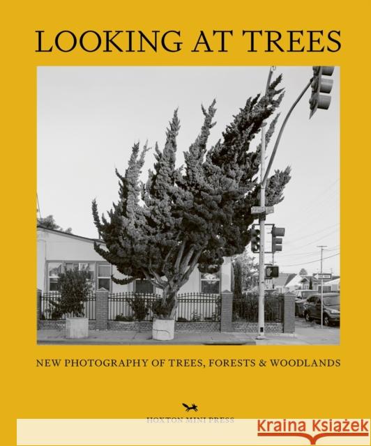 Looking At Trees: New Photography of Trees, Forests & Woodlands Sophie Howarth 9781914314407 Hoxton Mini Press - książka