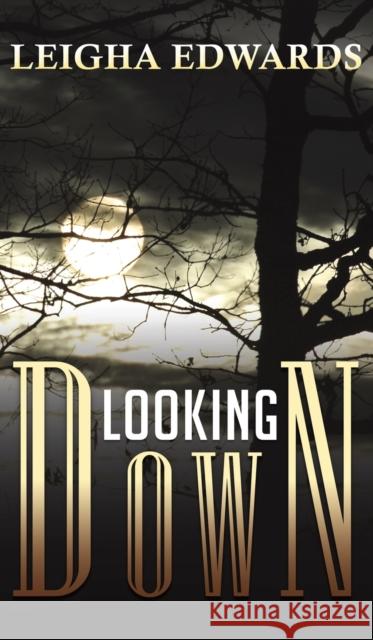 Looking Down Leigha Edwards 9781645362319 Austin Macauley Publishers LLC - książka