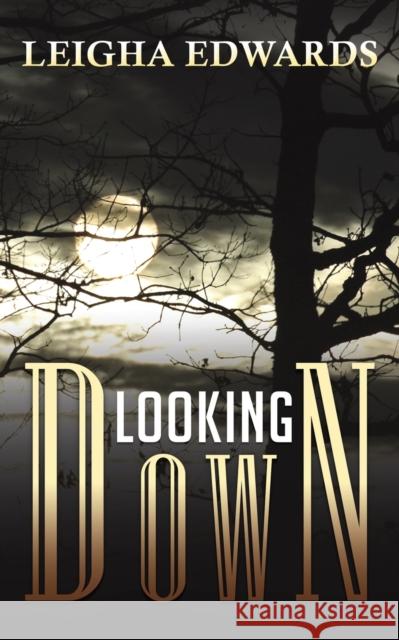 Looking Down Leigha Edwards 9781645758853 Austin Macauley Publishers LLC - książka