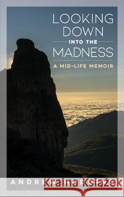 Looking Down Into the Madness: A Midlife Memoir Andrew Hudgins 9780578494081 Tolfan Publishing LLC - książka