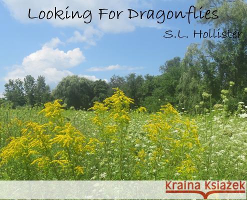 Looking For Dragonflies Hollister, S. L. 9781732844506 S.L.Hollister - książka