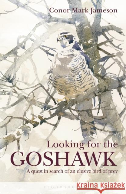 Looking for the Goshawk Conor Mark Jameson   9781472969170 Bloomsbury Wildlife - książka