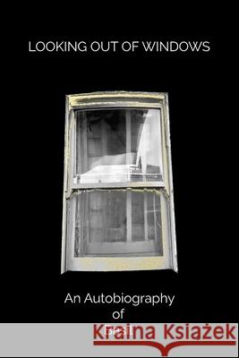 Looking Out of Windows Basil 9781805881063 Michael Terence Publishing - książka