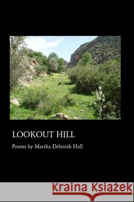 Lookout Hill Martha Deborah Hall 9781625493712 Word Poetry - książka