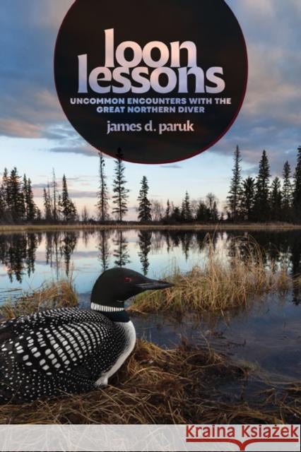 Loon Lessons: Uncommon Encounters with the Great Northern Diver James D. Paruk 9781517909406 University of Minnesota Press - książka