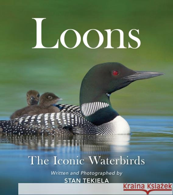 Loons: The Iconic Waterbirds Tekiela, Stan 9781647552091 Adventure Publications - książka
