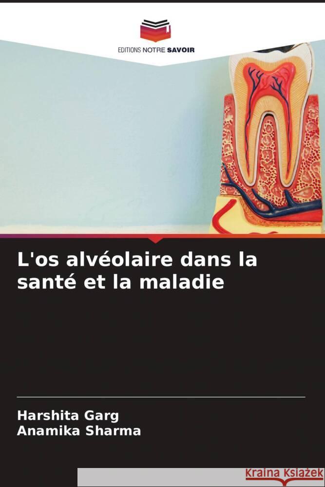 L'os alv?olaire dans la sant? et la maladie Harshita Garg Anamika Sharma 9786208270094 Editions Notre Savoir - książka