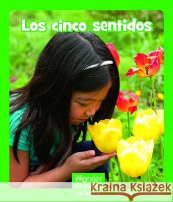 Los Cinco Sentidos Maryellen Gregoire 9781429690935 Capstone Press - książka