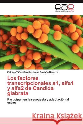 Los factores transcripcionales a1, alfa1 y alfa2 de Candida glabrata Yáñez Carrillo Patricia 9783847352914 Editorial Acad Mica Espa Ola - książka