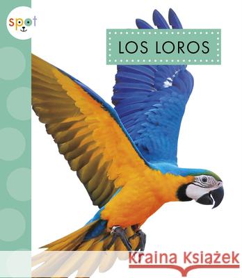 Los Loros Alissa Thielges 9781645498339 Amicus Ink - książka