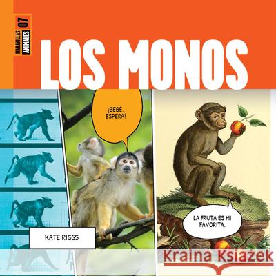 Los Monos Kate Riggs 9781682775233 Creative Paperbacks - książka