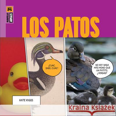 Los Patos Kate Riggs 9781682779071 Creative Paperbacks - książka