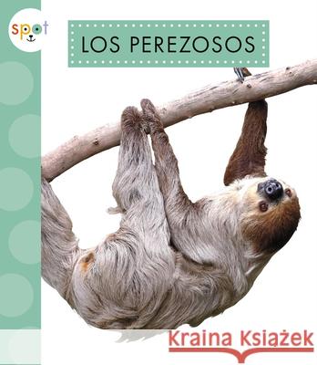 Los Perezosos Alissa Thielges 9781645498346 Amicus Ink - książka