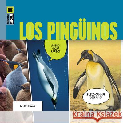 Los Ping?inos Kate Riggs 9781682775240 Creative Paperbacks - książka