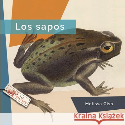 Los Sapos Gish, Melissa 9798896803515 Creative Paperbacks - książka