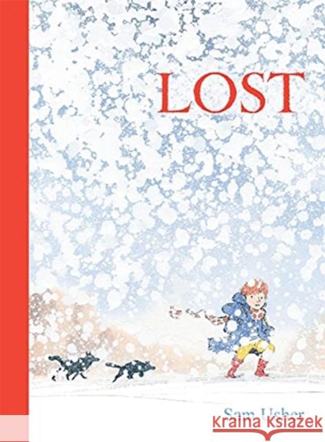 LOST Sam Usher Sam Usher  9781787419872 Templar Publishing - książka