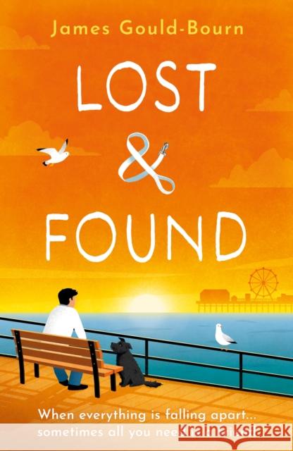 Lost & Found: When everything is falling apart, sometimes all you need is a friend James Gould-Bourn 9781409191322 Orion Publishing Co - książka
