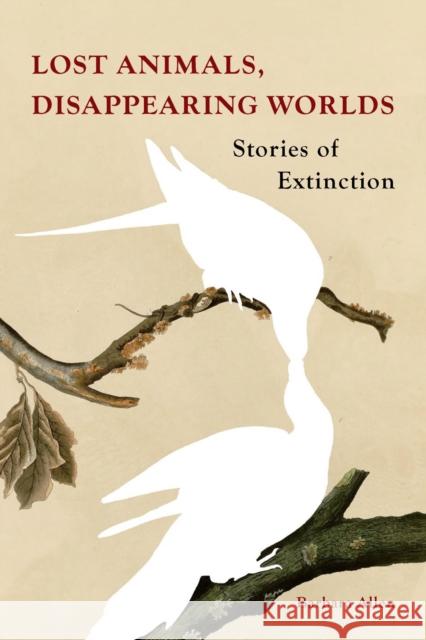 Lost Animals, Disappearing Worlds: Stories of Extinction Barbara Allen 9781836390459 Reaktion Books - książka