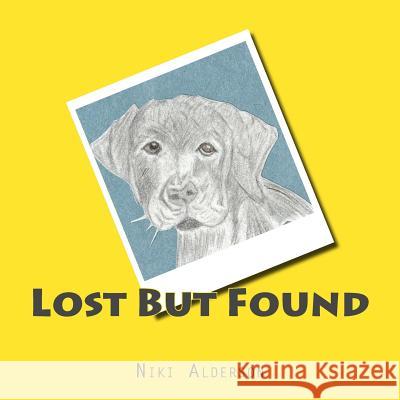 Lost But Found Niki Alderson Loni Grant 9781532904127 Createspace Independent Publishing Platform - książka