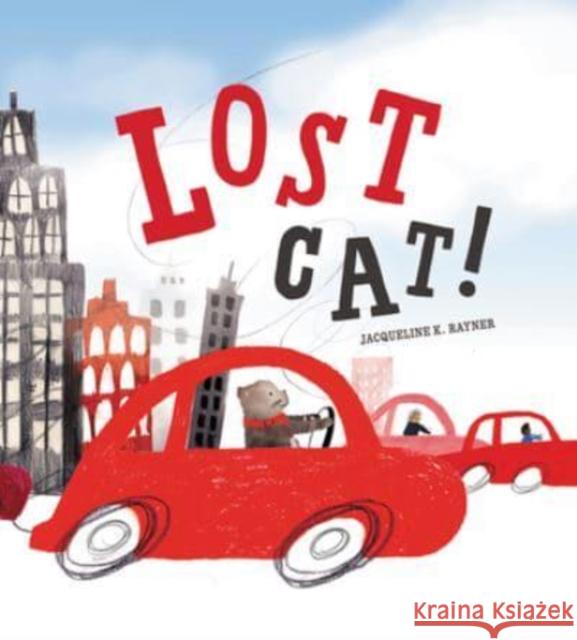 Lost Cat! Jacqueline K. Rayner 9781328967206 HarperCollins Publishers Inc - książka