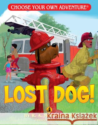 Lost Dog! R. a. Montgomery 9781933390000 Chooseco - książka