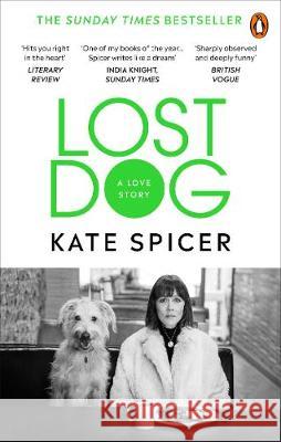 Lost Dog : A Love Story Kate Spicer 9781785039201 Ebury Publishing - książka