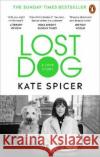 Lost Dog : A Love Story Kate Spicer 9781785039201 Ebury Publishing