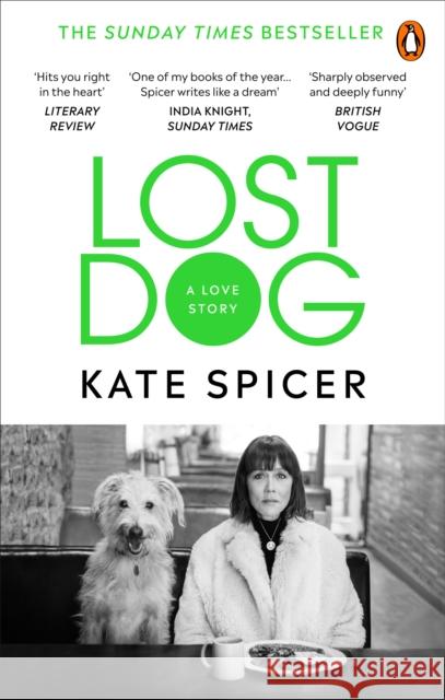 Lost Dog: A Love Story Kate Spicer 9781785039201 Ebury Publishing - książka