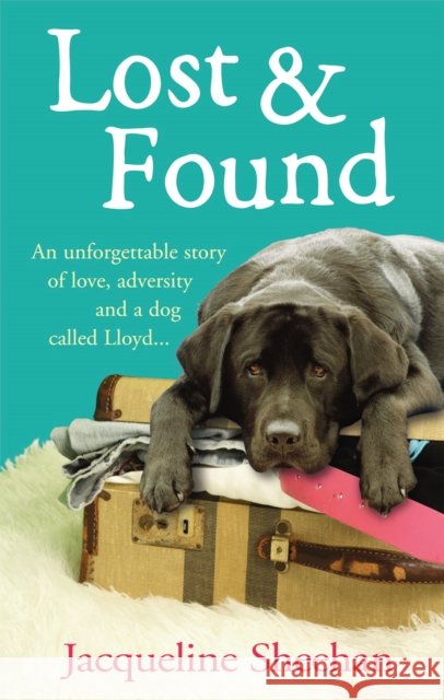 Lost & Found Jacqueline Sheehan (Author) 9780091927592 Ebury Publishing - książka